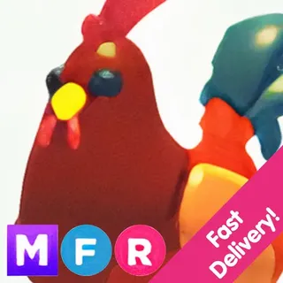 MFR Rooster