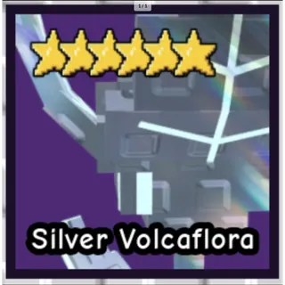 Silver Volcaflora