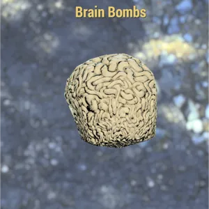 Brain Bombs x 50
