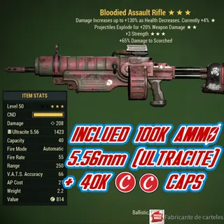 BE3S Rifle Assault ( Bloodied / explosive / +3 STRENGTH ) + 40k caps + AMMO 