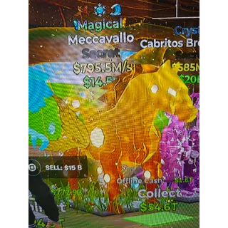  Meccavallo Meccavallo