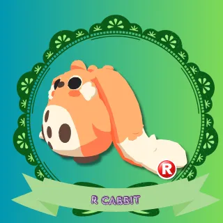 R CABBIT