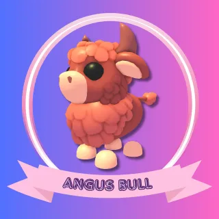 ANGUS BULL