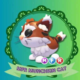 MFR MUNCHKIN CAT