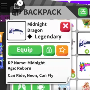 Midnight Dragon