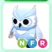 Pet | Snow Owl NFR