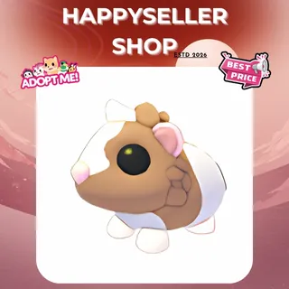 16x Chocolate Dutch Guinea Pig