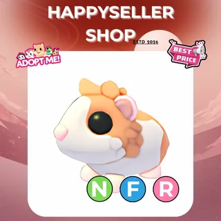nfr red dutch guinea pig