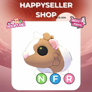 NFR Chocolate Dutch Guinea Pig