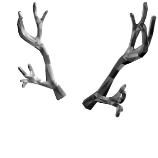 Limited | Silverthorn Antlers