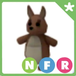 Kangaroo NFR