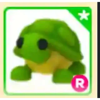Turtle R