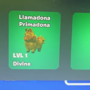 Lamadona Primadona