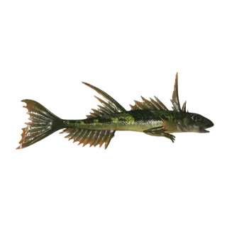 50 Fernskipper 