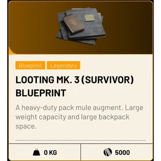 Looting MK.3 (Survivor) Blueprint