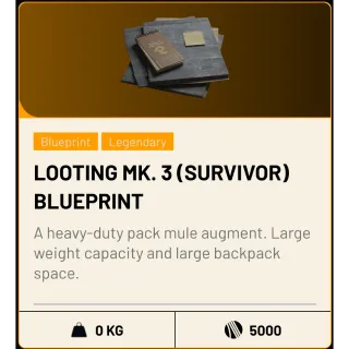 Looting MK.3 (Survivor) Blueprint
