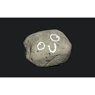 pet rock