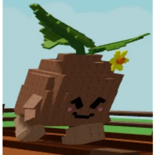 Mega Seedling (5,84 Kg, Age 31) Grow A Garden