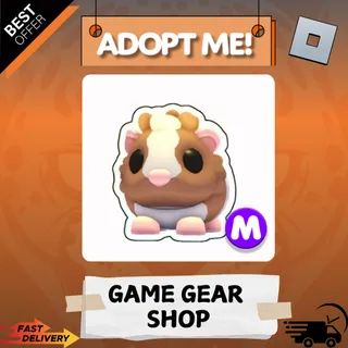 Chocolate Dutch Guinea Pig  [MEGA] | Adopt Me 