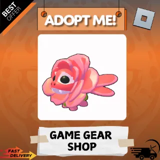 ROSE DRAGON | Adopt Me