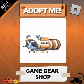S'mores raccoon