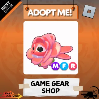 ROSE DRAGON [MFR] | Adopt Me