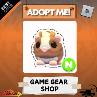 Chocolate Dutch Guinea Pig  [NEON] | Adopt Me 