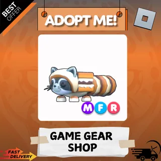 S'mores raccoon [MFR]