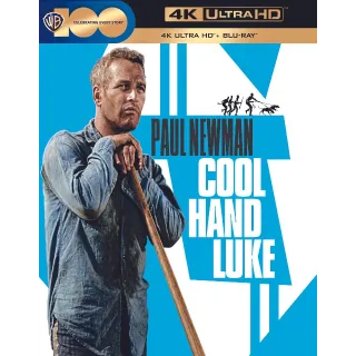 Cool Hand Luke [4K] MA
