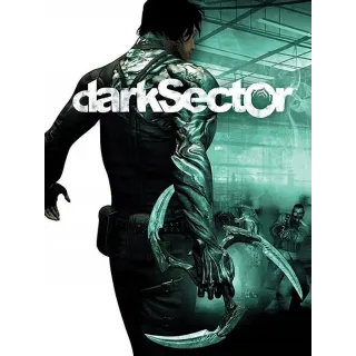 Dark Sector