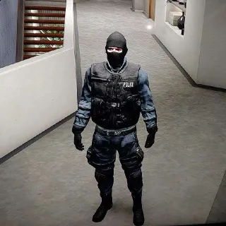 SWAT NO REQUIREMENTS