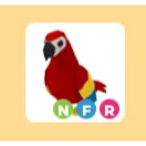 nfr parrot