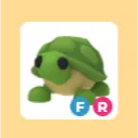 FR TURTLE