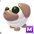 Mega snowball pug