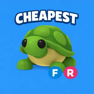 fr turtle