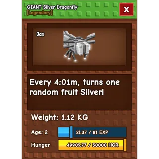 giant silver dragonfly