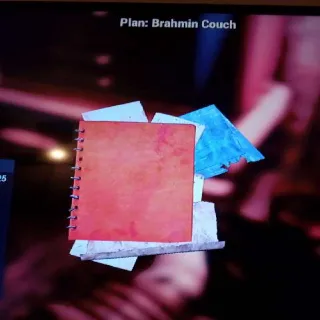 Brahmin Couch X10