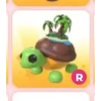 Tortuga de la Isla R 