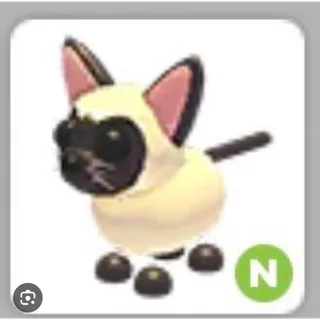 Siamese cat No Potion