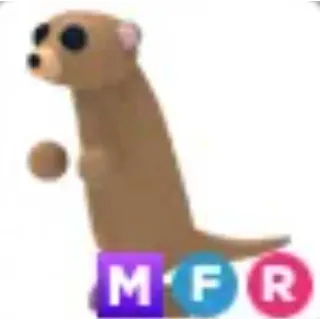 MFR MEERKAT