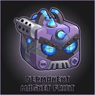 Magnet