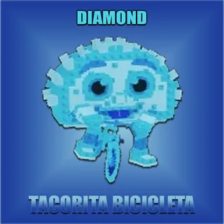 Tacorita Bicicleta
