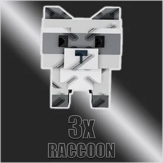 Raccoon