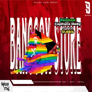 RAINBOW CAPITANO MOBY 1.6B/S