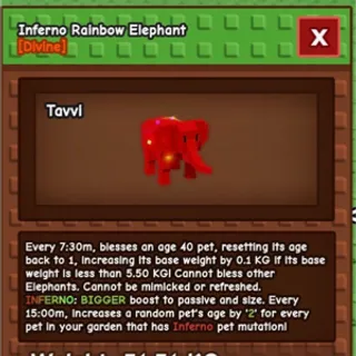 Rainbow Elephant Team