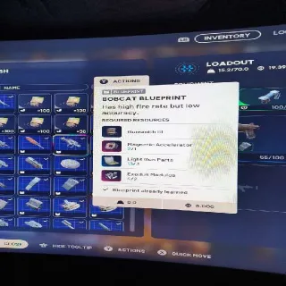 Blue Print For Bobcat