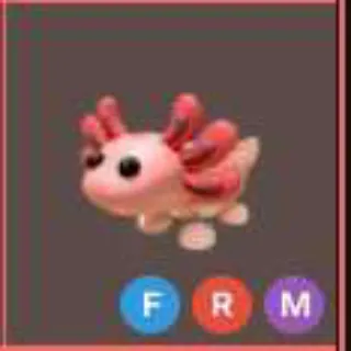 Mfr Axolotl