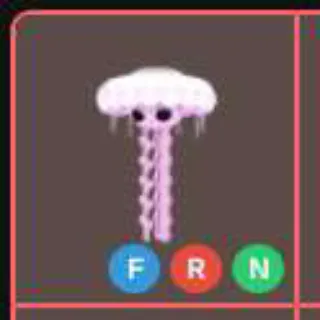 Nfr Jellyfish