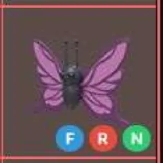 NFR purple Butterfly