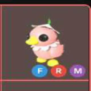 Mfr Flower Power Duckling